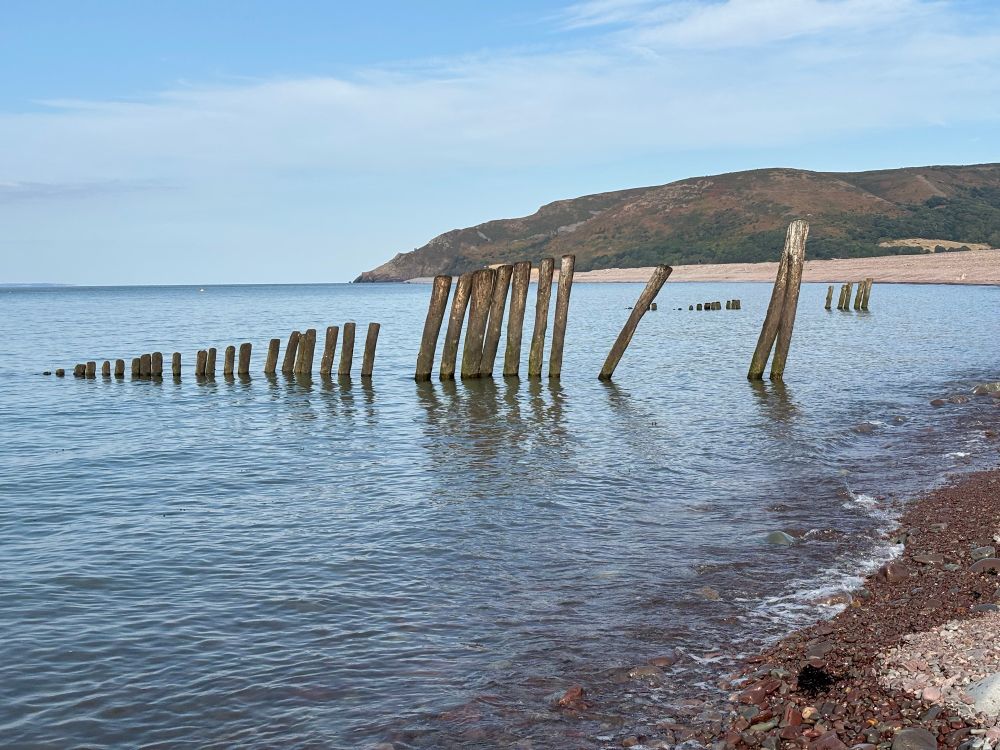 Blue sea and sky, wet shingle at the front, a large headland at the rear. Posts from a groyne going steeply down into the sea - it looks as though it was just made up of vertical posts, as they are close together, several are missing though.