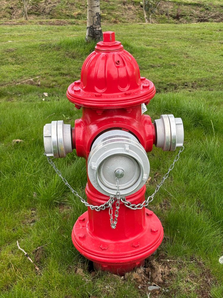 A red fire hydrant in grass