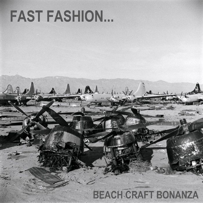 Fast Fashion..., by Beach Craft Bonanza