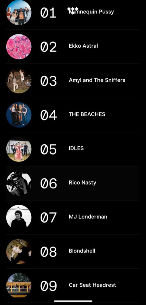 A listener's 9 most streamed artists of the year:  Mannequin Pussy, Ekko Astral, Amyl and the Sniffers, THE BEACHES, IDLES, Rico Nasty, MJ Lenderman, Blondshell, and Car Seat Headrest