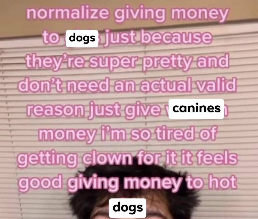 Normalize giving money to DOGS just because they're super pretty and don't need an actual valid reason just give CANINES money I'm so tired of getting clown for it it feels good giving money to hot DOGS