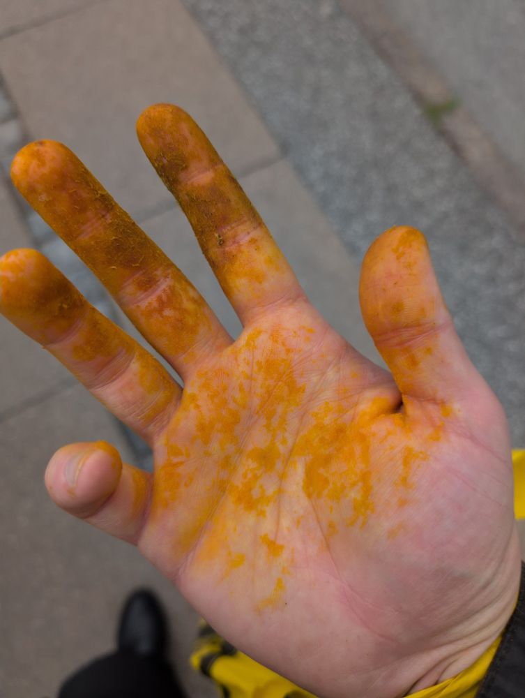 a hand covered in yellow pollen 