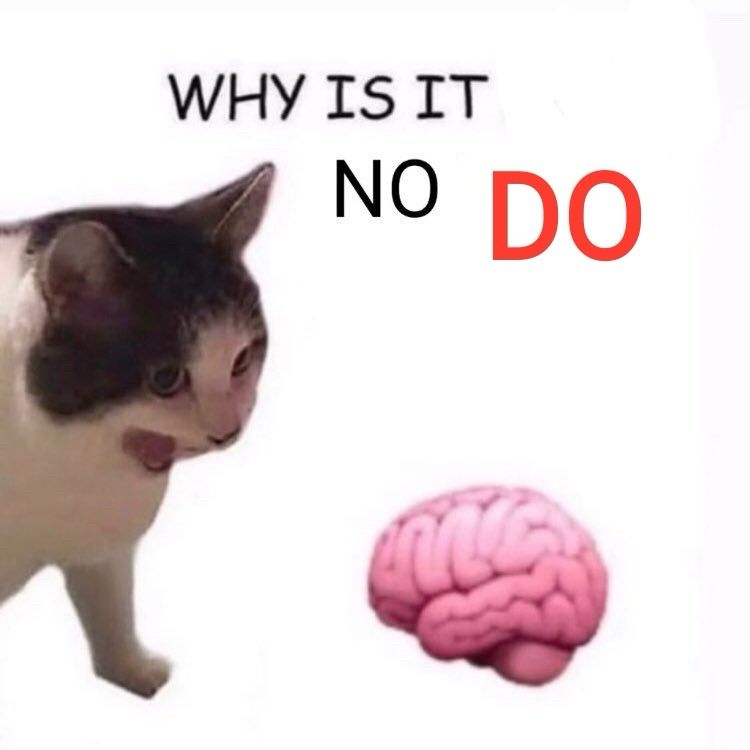 a screaming cat looking at a brain emoji asking why is it no do 