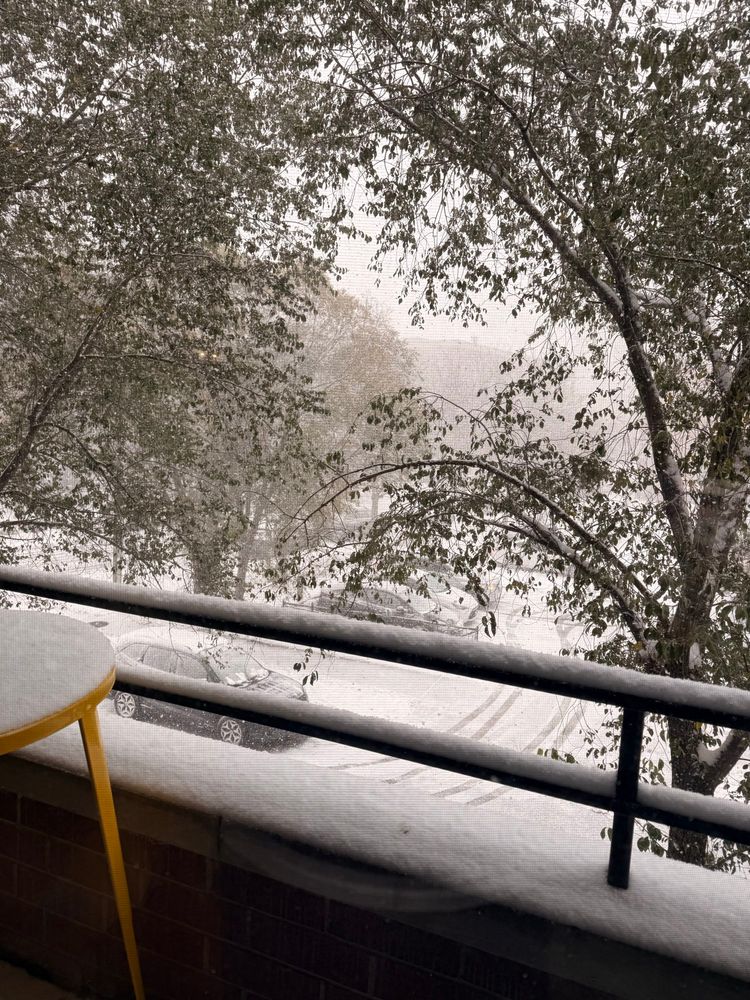 Snow is falling heavily in Chicago. Buildings in the distance are obscured. 