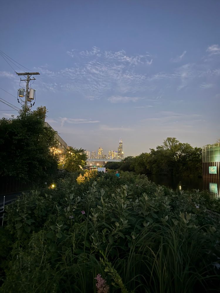 Chicago skyline seen from The Wild Mile.