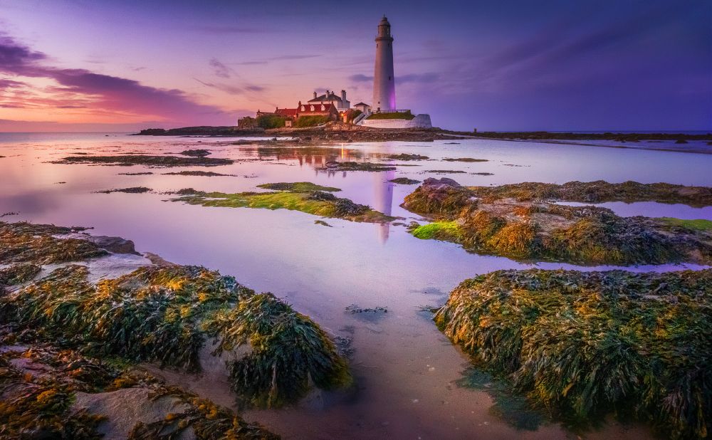 Peaceful morning at St. Marys Lighthouse in the UK.