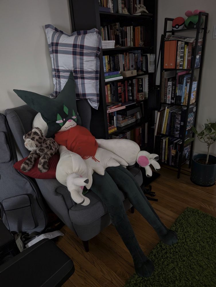 A Meowscarada plush sitting in an armchair. There is a red scarf tied around the Meowscarada. A leopard plush on a red pillow lies to the left of it. A guitar is seen to the left of the chair. A bench for workouts is below the guitar. A library full of books is seen to the right. A plant is to the right of the library. There is a hardwood floor and a shag green carpet on top of it.