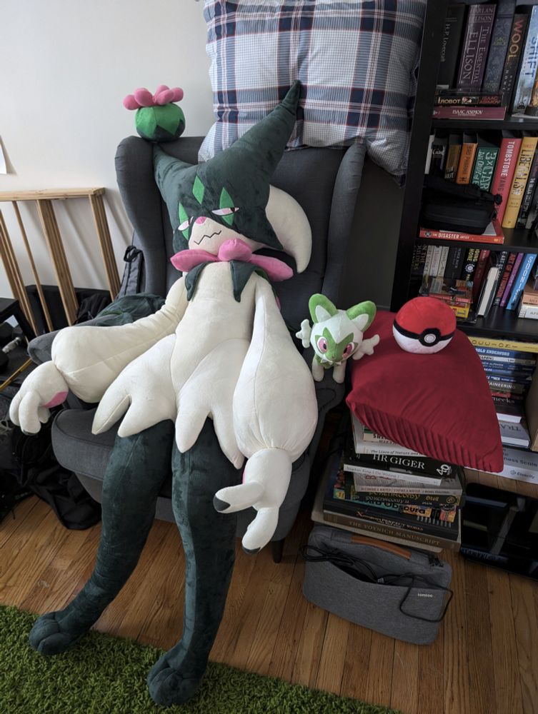 A Meowscarada plush sitting in an armchair. A Sprigatito is to the right of the Meowscarada. A flower bomb lies above left of the Meowscarada. A guitar is seen to the left of the chair. A step stool for workouts as well as jump rope is to the left. A library full of books is seen to the right. There is a hardwood floor and a shag green carpet on top of it.