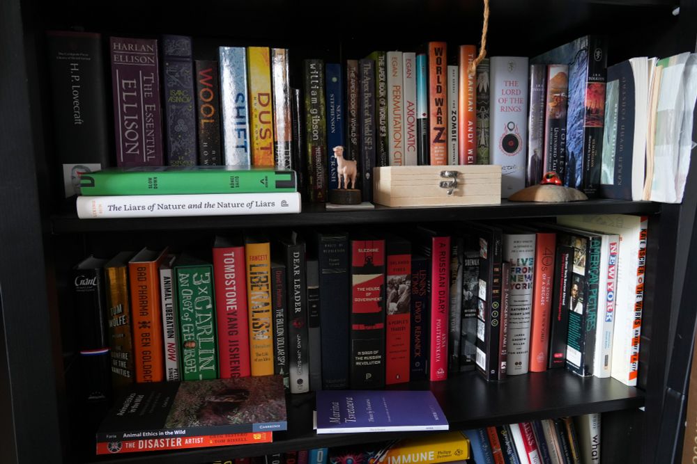 The top shelf is full of genre fiction. There is a goat on a plastic wood stump in front, to its right is a wood box containing vampire repellants such as holy water and religious script, and at the far right is a small plastic turtle on a nice rock.
The second shelf is full of political and pop fiction as well as philosophical works. There is book of poetry by Marina Tsvetaeva in the front middle.