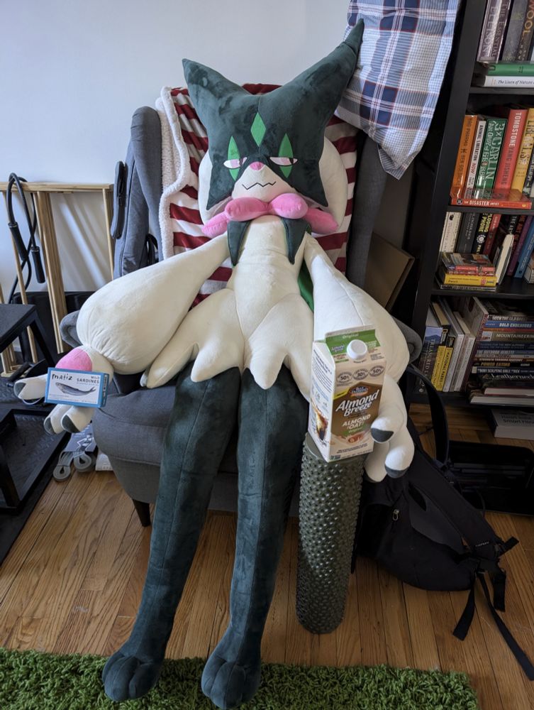 A Meowscarada plush sitting in an armchair.  The Meowscarada is holding almond + oat milk in their left paw and tin of sardines in their right paw. A roller for workouts is below the milk. A guitar is seen to the left of the chair. A step stool for workouts as well as jump rope is to the left. A library full of books is seen to the right.  There is a hardwood floor and a shag green carpet on top of it.