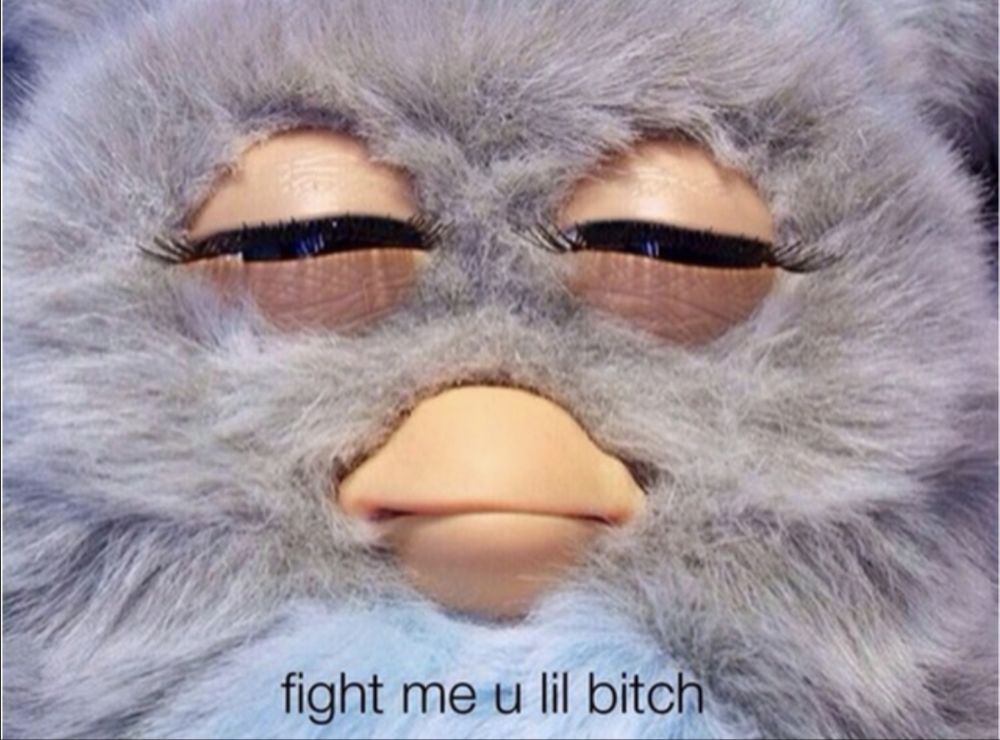 furby meme that says fight me you little bitch while a grey furby squints menacingly at the viewer