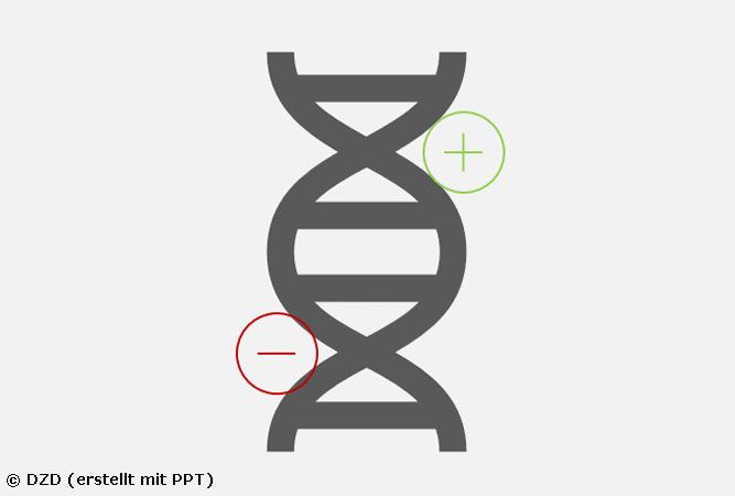 Biomarker für Insulinresistenz im Gehirn entdeckt.