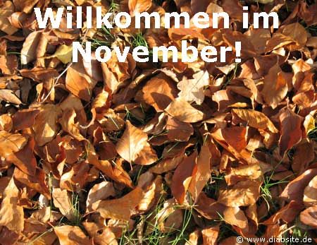 Willkommen im Diabetes-Monat November!