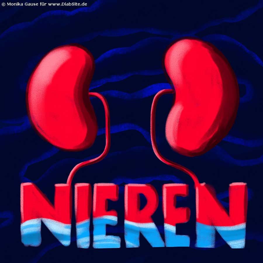 Diabetes und die Nieren.