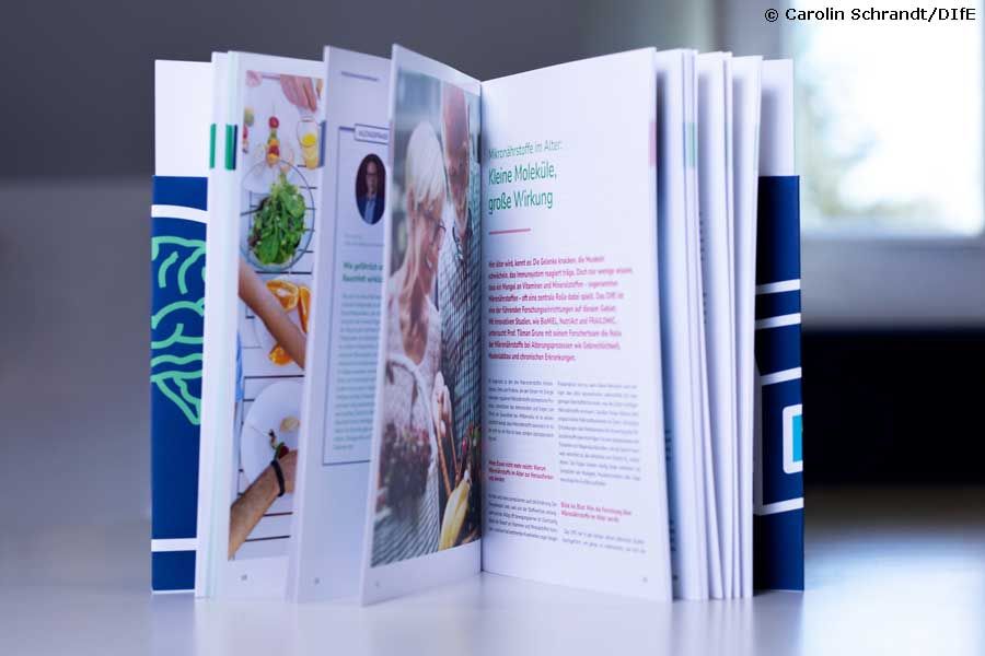 Jahresbericht vom Deutschen Institut für Ernährungsforschung.