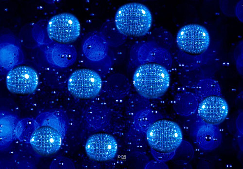 #1 - macro waterdroplets