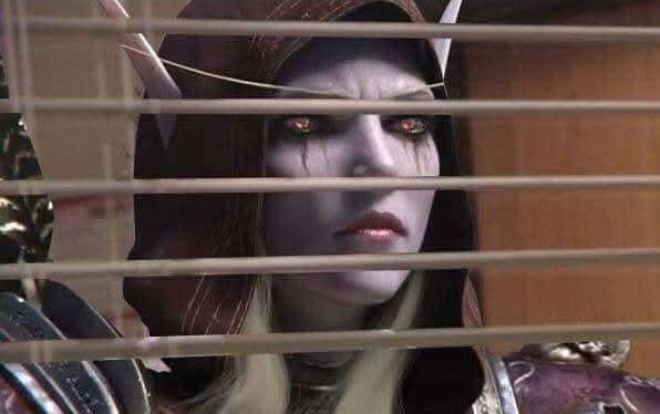 Sylvanas Windrunner looks out through Venetian blinds with an expression suggesting she is about to burn down Teldrassil. 