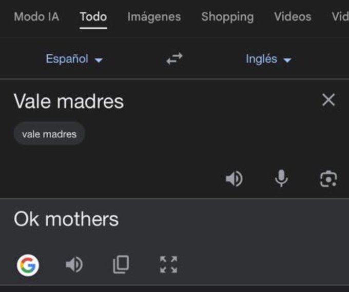 a screenshot of a google translate result showing the translation of a common Mexican slang "vale madres" (it doesn't matter) as "OK mothers"