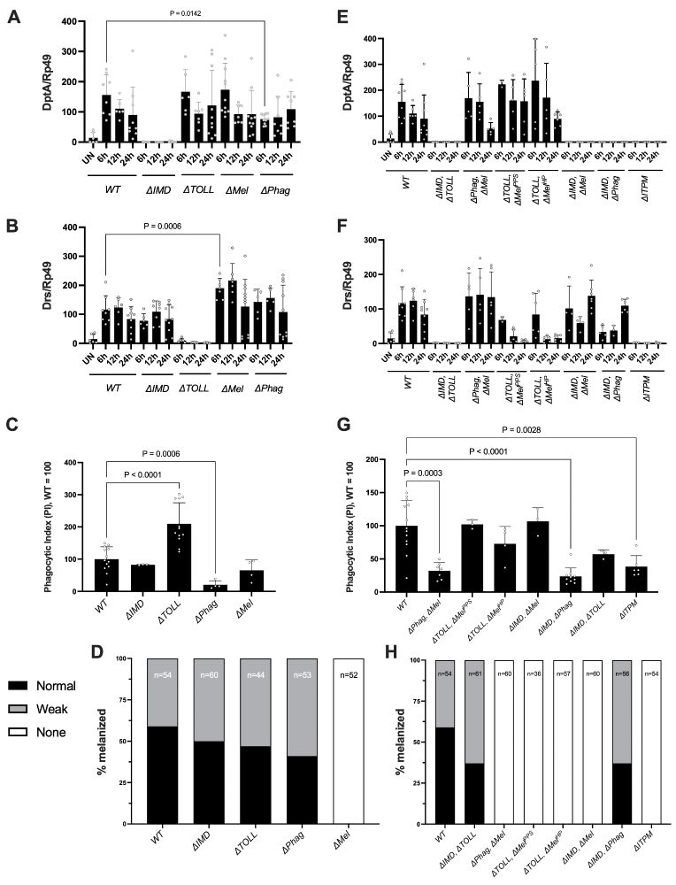 Figure 1 validating the mutations used