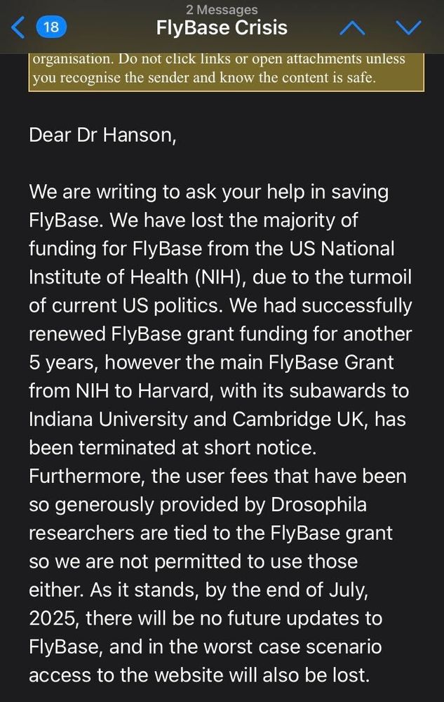 We are writing to ask your help in saving FlyBase. We have lost the majority of funding for FlyBase from the US National Institute of Health (NIH), due to the turmoil of current US politics. We had successfully renewed FlyBase grant funding for another 5 years, however the main FlyBase Grant from NIH to Harvard, with its subawards to Indiana University and Cambridge UK, has been terminated at short notice. Furthermore, the user fees that have been so generously provided by Drosophila researchers are tied to the FlyBase grant so we are not permitted to use those either. As it stands, by the end of July, 2025, there will be no future updates to FlyBase, and in the worst case scenario access to the website will also be lost.

...

There are two ways you can contribute:

Method 1. If you are able to pay with lab funds, we have attached two requests for payments, aimed at smaller and larger labs, which we hope will be acceptable for your finance administrators. If you require a different kind of form, please reply with the details that you need. Similarly, if you wish to pay a different amount we can also adjust it for you.
Please use the reference ‘Drosophila Genetic Database’ and add your name and institution to the requests.

Method 2. If you want to make a personal donation or if it is easier to pay with a credit card, we have set up the following crowdfunding website:
https://www.philanthropy.cam.ac.uk/give-to-cambridge/physiology-development-and-neuroscience/drosophila-genetic-database