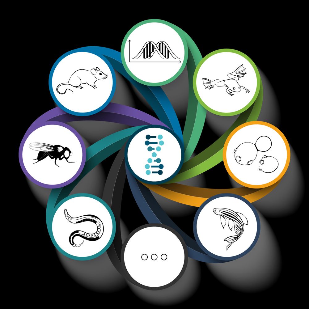A lovely graphic from The Allied Genetics Conference 2020 depicting the many model organisms that contribute to our understanding of science.

https://genetics-gsa.org/drosophila-2025/professional-development/careers-at-tagc/
