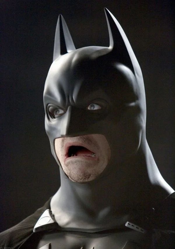 Batman with a mortified look on his face.