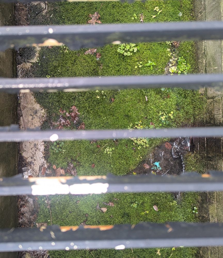 Miss in bottom of grate