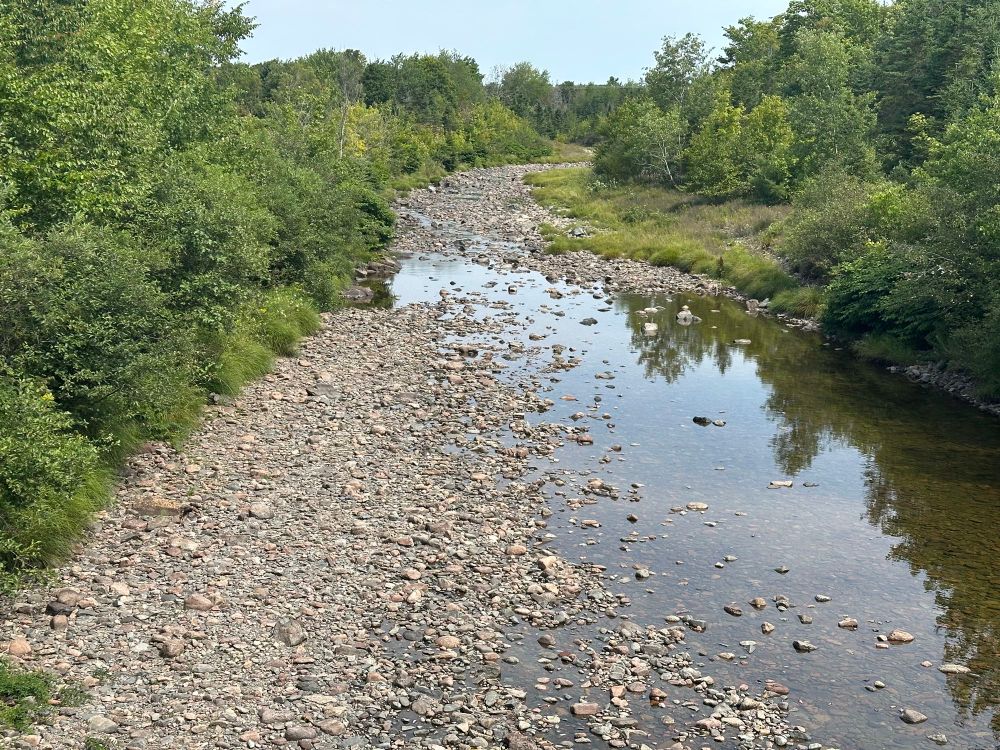 A rocky nearly dry riverbed, with just a couple of cm of standing water in it. 