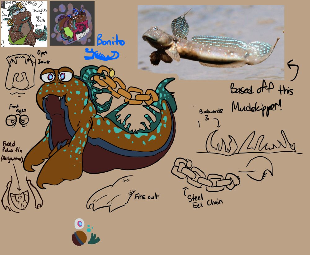 A reference drawing for Bonito, a mudskipper species I came up with to pair with the Splatoon universe.