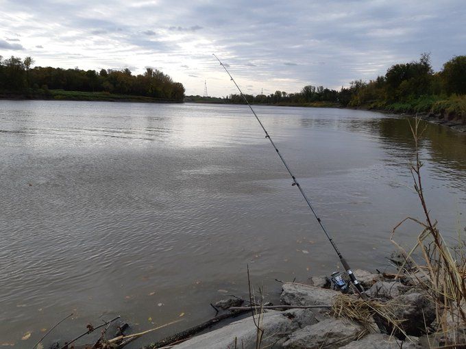 A fishing rod set up on the side of a river.