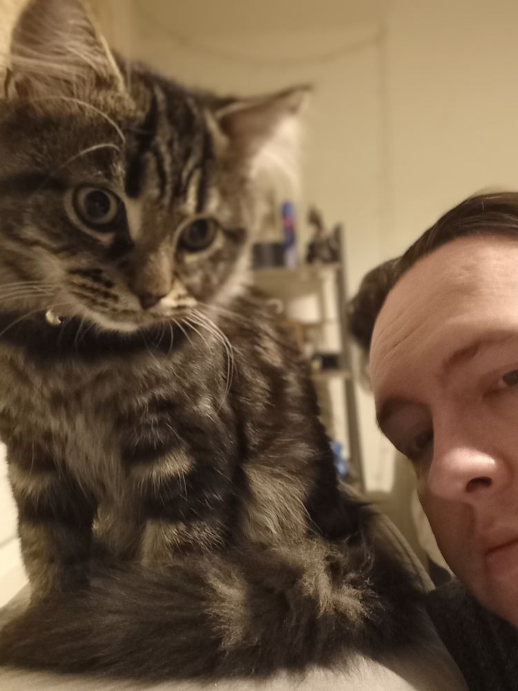 It's a cute browny grey black kitten, idk the pattern name. Sat looking towards the camera, part of my face is just poking in from the side