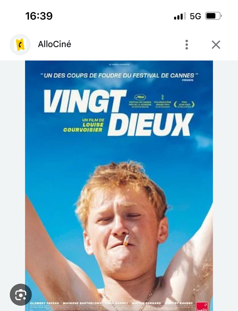 Affiche du film Vingt dieux