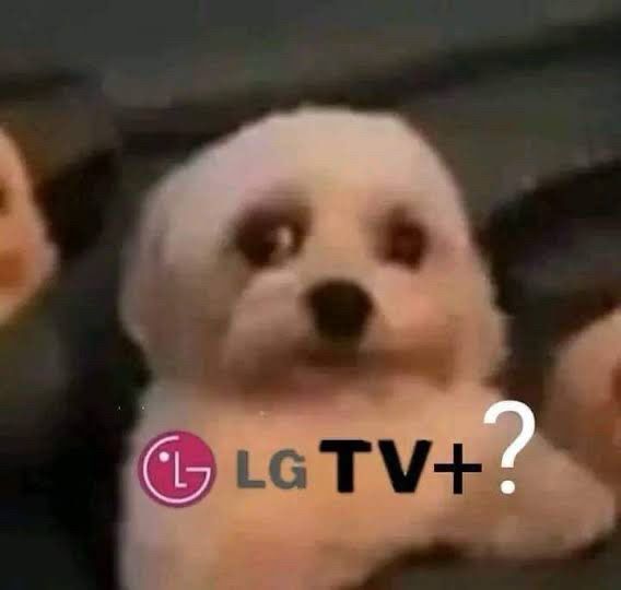 LGTV+ dog