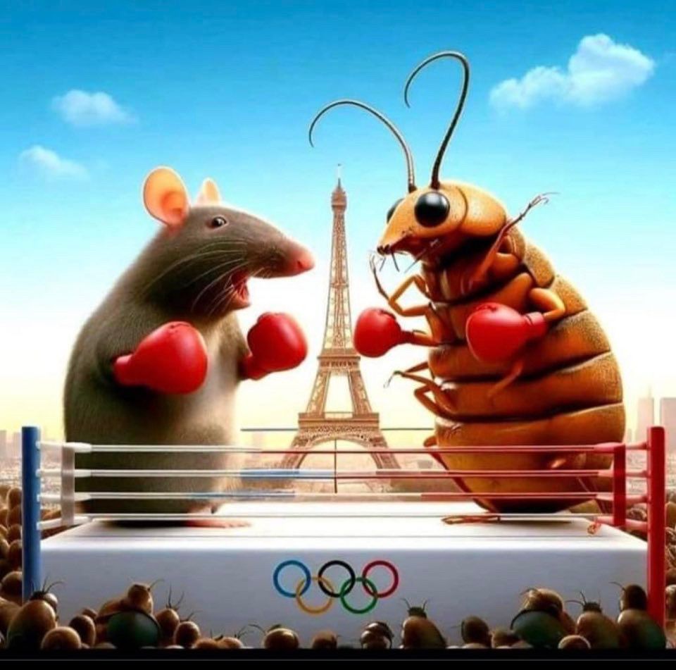 Un rat et une punaise de lit géants  sur un ring siglé JO 2024