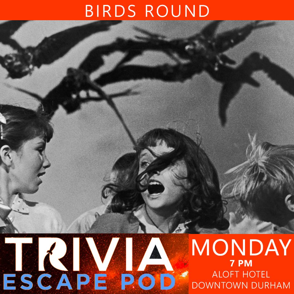 Text reads: "Birds Round, Trivia Escape Pod, Monday at 7 pm, Aloft Hotel Downtown Durham"

Image is a still of children running from crows, taken from Alfred Hitchcock's classic film "The Birds"