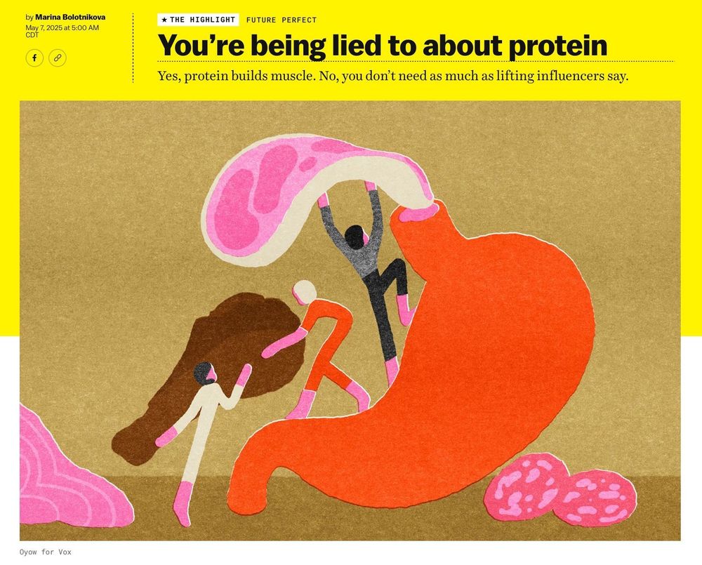 Vox piece with headline: "You’re being lied to about protein"
and description: "Yes, protein builds muscle. No, you don’t need as much as lifting influencers say." 

It has an illustration of several people shoving steak and a chicken leg into a giant prop stomach. Salami and other meats are on the ground surrounding.