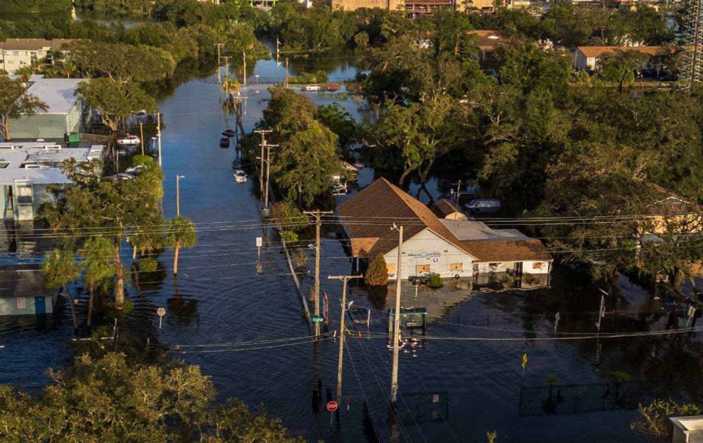 The Story of the Hurricanes