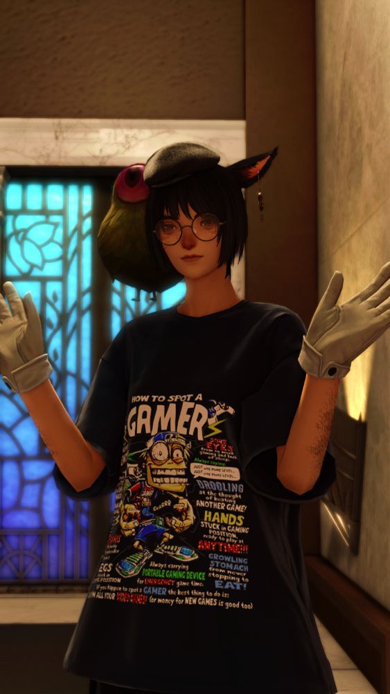 A screenshot of the hit mmo, final fantasy fourteen. a weedy looking catgirl with hairy arms is wearing a vintage "how to spot a gamer" shirt.