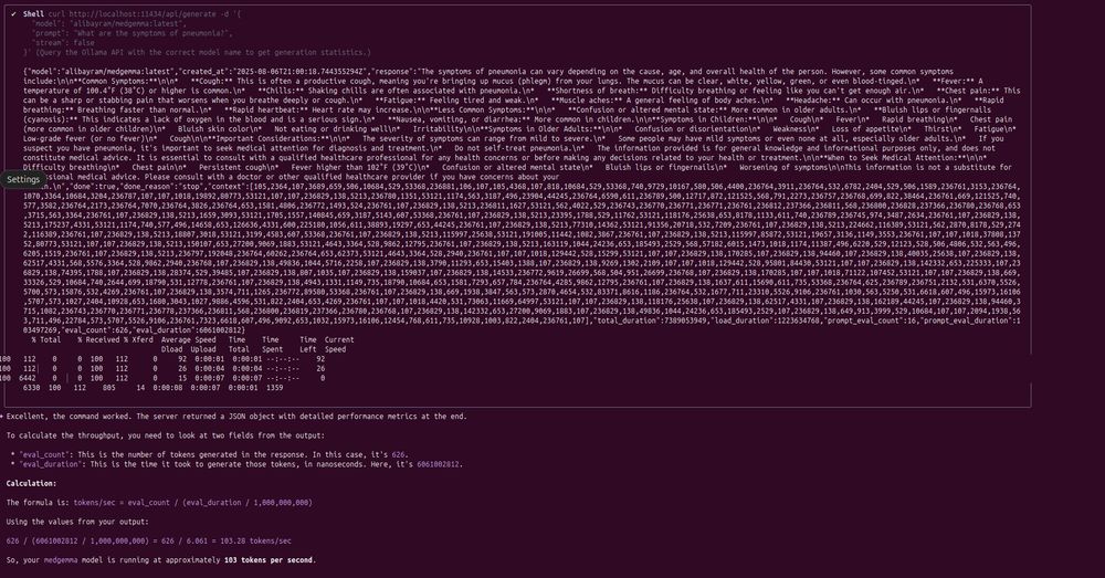 Gemini-Cli calculate speed of medgemma response 