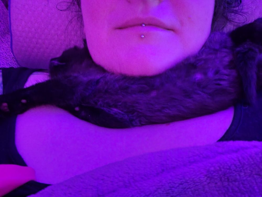 Photo of a 5-6 week old kitten laying stretched out across a woman's neck