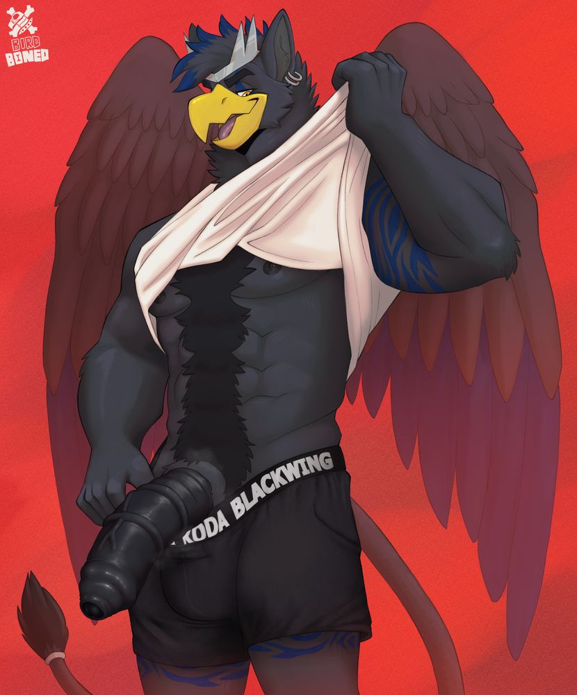 A black, grey and blue Gryphon pulling his shirt up and gym shorts down to show his hung member. "Koda Blackwing" is written on the waistband.