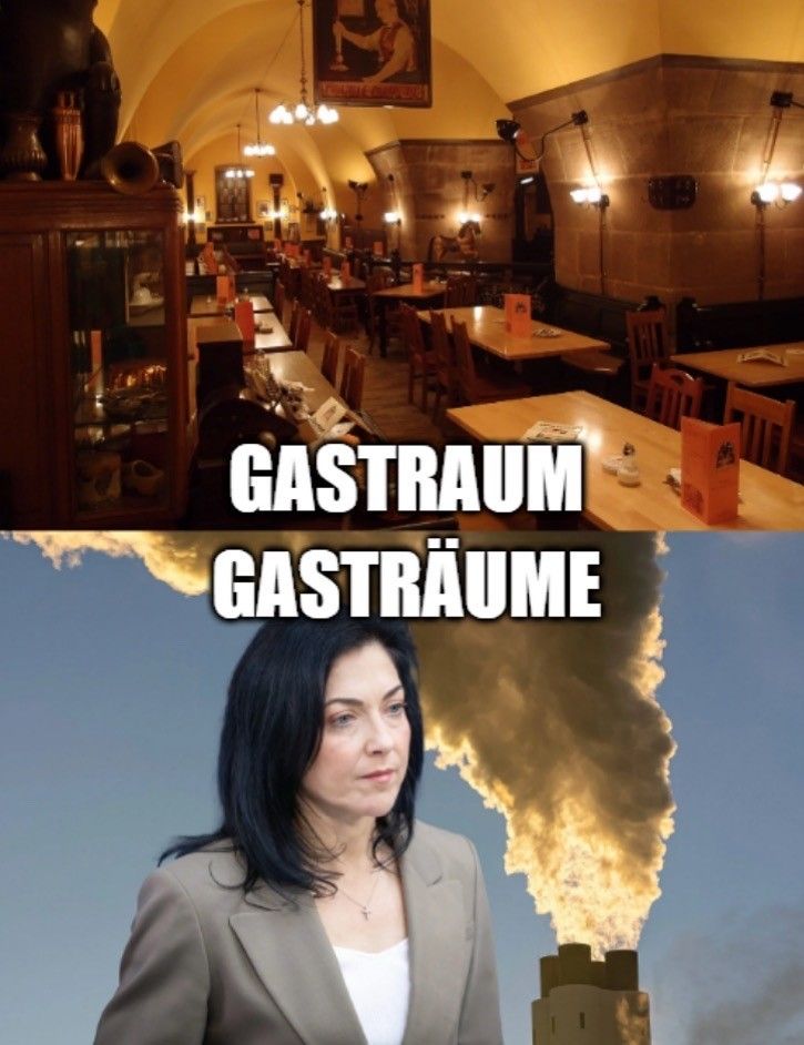 Ein Meme, das aus zwei Hälften besteht.
Obere Hälfte: Eine Innenaufnahme eines traditionellen, leeren deutschen Gasthauses oder Restaurants. Es hat ein gedimmtes, warmes Licht, Holztische und gewölbte Decken. Darüber steht in großen, weißen, serifenlosen Buchstaben das Wort "GASTRAUM".
Untere Hälfte: Eine Frau mit dunklen Haaren in einem hellbraunen Business-Anzug blickt ernsthaft in die Kamera. Hinter ihr ragt ein Schornstein oder eine Industrieanlage hervor, aus der eine große, helle Flamme oder dicke, gelbliche Rauchsäule in den blauen Himmel steigt (vermutlich ein Gas-Fackel). Darüber steht in großen, weißen, serifenlosen Buchstaben das Wort "GASTRÄUME".
Gesamtbedeutung: Das Meme spielt mit der Homophonie der deutschen Wörter "Gastraum" (der Raum für Gäste in einem Lokal) und "Gastr-äume" (Gas-Träume oder Gasträume) an, indem es eine gemütliche Gaststube der Realität der Gasgewinnung oder -verbrennung gegenüberstellt, oft im Kontext von Energiepolitik und Klimawandel.