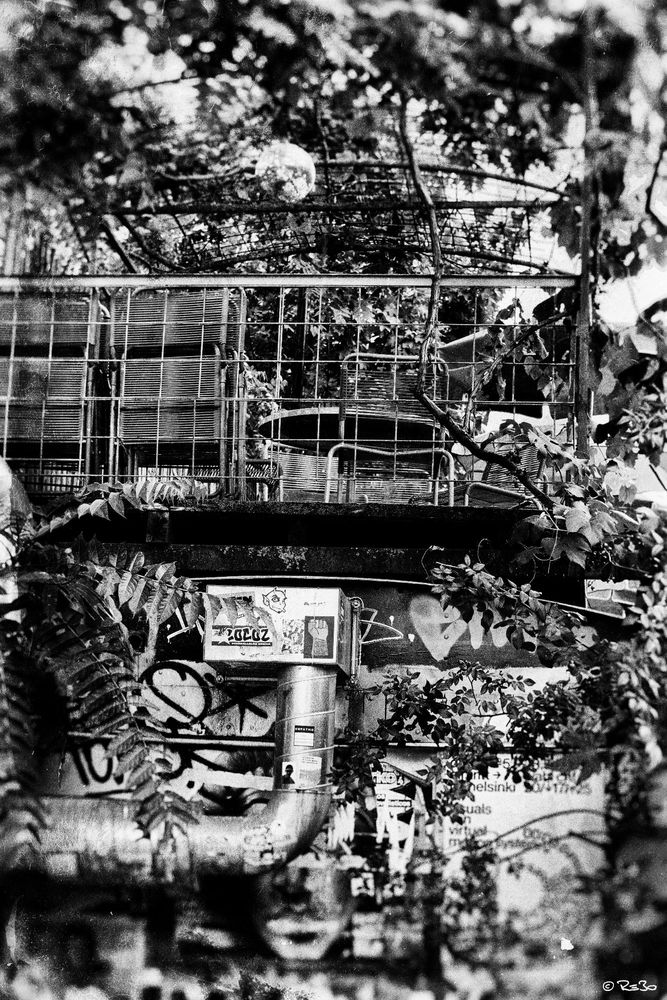 A table and chairs stand on the terrace of a one-story concrete block. Above them is a wire canopy covered in plants, providing shade. A ventilation pipe can be seen on the front of the building. This black-and-white photograph features strong contrasts.