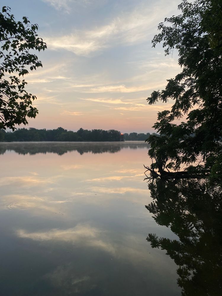 The orange sun rising over a still lake, the reflection of wispy clouds on the water and a tree to one side hanging over the water in the foreground. 