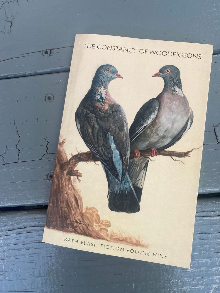 A picture of the cover of Bath Flash Fiction Volume Nine, titled The Constancy of Woodpigeons, with a drawing of two blueish grey pigeons on the front. 
