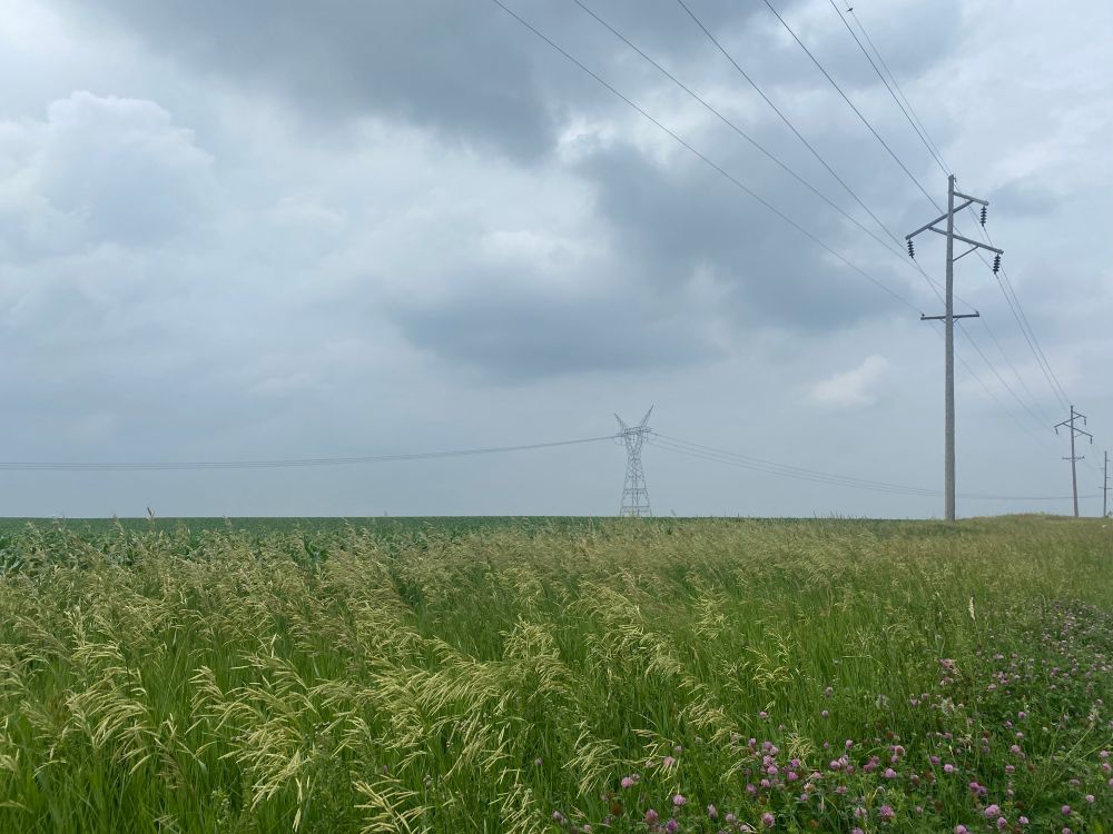 Long grass in the foreground of a green field with telephone poles running through it. Dark clouds gathering in the sky. 