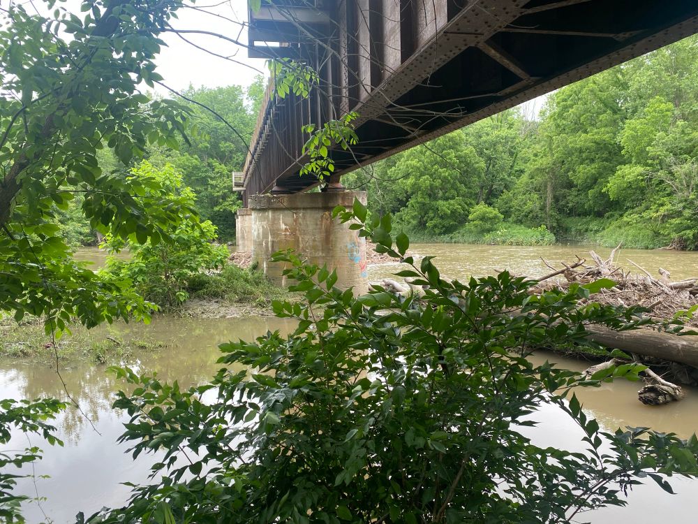 A view of a wide creek with a train bridge running overhead and brush in the foreground. Trees on the far side. 
