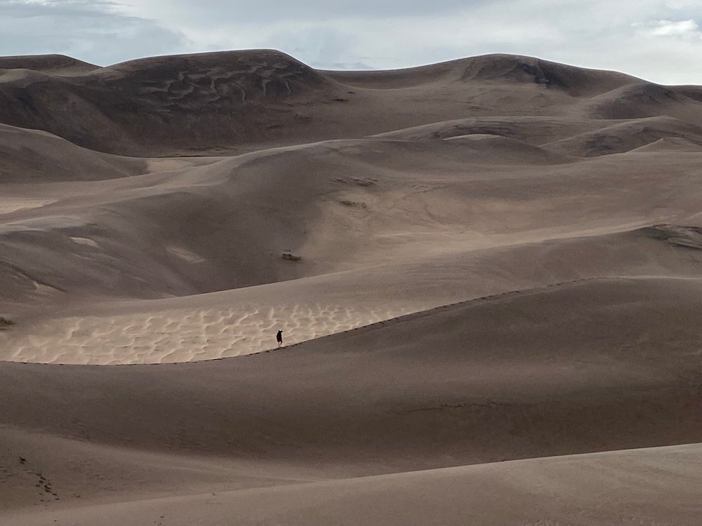 A person who looks very small (my son) walking on the ridge of a large sand dune with larger dunes as far you can see 