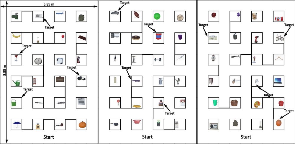 Natural- and redirected walking in virtual reality: Spatial performance and user experience - Multimedia Tools and Applications