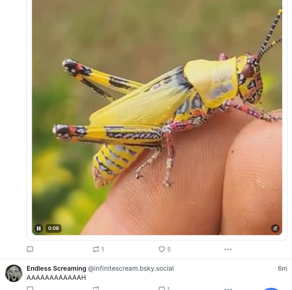 Comment image